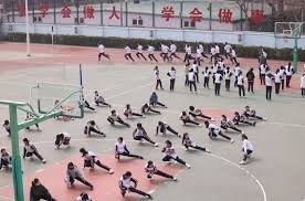 MLB球队战术执行效率提升